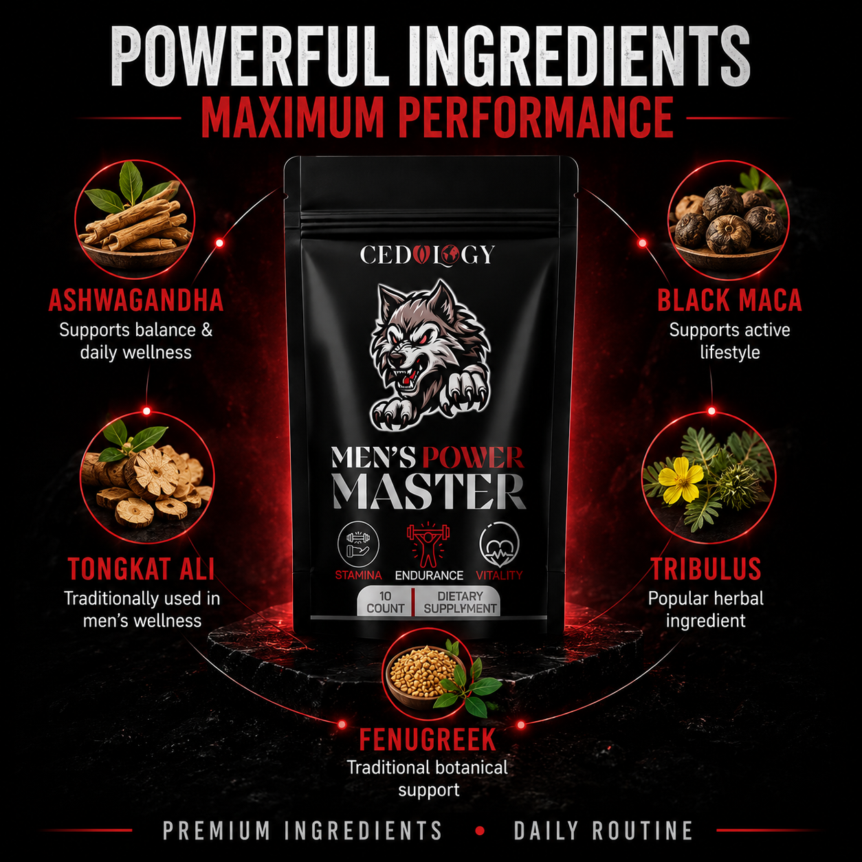 Men's Power Master – 100% Organic Dietary Supplement for Stamina & Vitality (10 Unit)